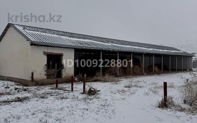 Сельское хозяйство · 1200 м² за 48 млн ₸ в  — фото 6