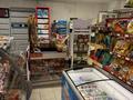 Магазины и бутики · 90 м² за 610 000 ₸ в Алматы, Медеуский р-н — фото 5