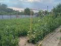 Дача · 3 комнаты · 30 м² · 12 сот., Бобровка, Солнечная долина 323-324 за 6 млн ₸ в Семее — фото 18