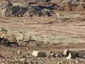 Завод · 1840 соток, Алтынсарина 1 за 136.2 млн ₸ в Алексеевке