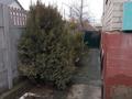 Отдельный дом · 6 комнат · 150 м² · 6 сот., Шолохов 20 за 32 млн ₸ в Талдыкоргане — фото 20