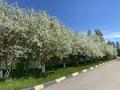 Отдельный дом · 4 комнаты · 300 м² · 8 сот., Бокейхана за 1.6 млн ₸ в Астане, Есильский р-н — фото 18
