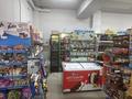 Продуктовый магазин · 139 м² за 35 млн ₸ в Астане, Есильский р-н