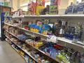 Продуктовый магазин · 139 м² за 35 млн ₸ в Астане, Есильский р-н — фото 4