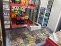 Продуктовый магазин · 139 м² за 35 млн ₸ в Астане, Есильский р-н — фото 5