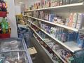 Продуктовый магазин · 139 м² за 35 млн ₸ в Астане, Есильский р-н — фото 7