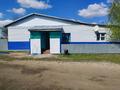 Магазины и бутики, сельское хозяйство · 300 м² за 18 млн ₸ в Явленке