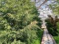 Саяжай · 4 бөлме · 80 м², жилой массив Кайнар Булак, Клубничная 113, бағасы: 40 000 ₸ в Шымкенте, Абайский р-н — фото 2