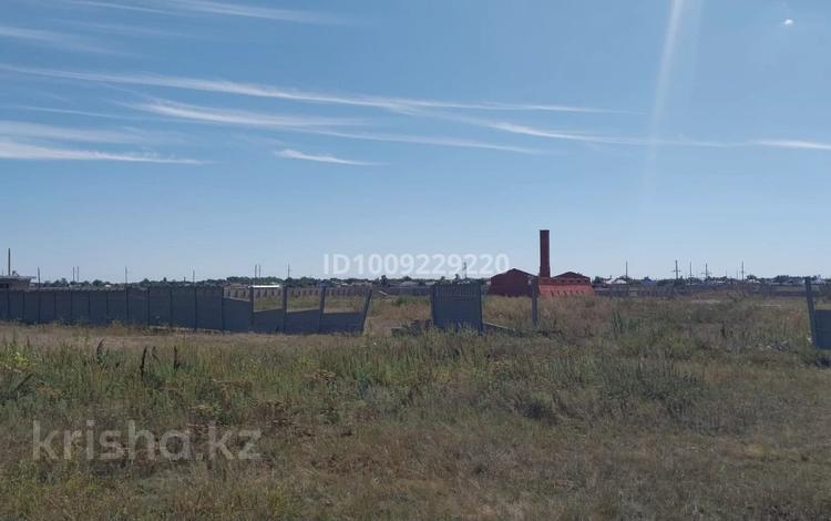 Участок · 4.52 га, Акжар за 35 млн ₸ в Хромтау — фото 2