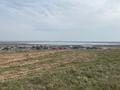 Участок · 8 соток, Мкр.Шугыла 91 за 3.2 млн ₸ в Кентау — фото 3
