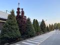 Промбаза · 1.6 га, Илийский тракт 37 за 25 млн ₸ в Алматы, Турксибский р-н — фото 10