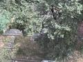 2-комнатная квартира · 42 м² · 5/5 этаж, мкр 13-й военный городок, мкр 13-й военный городок 51 за 26 млн ₸ в Алматы, Турксибский р-н — фото 8