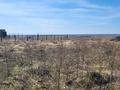 Участок · 10 соток, Старый солнечный — Прибрежная-Прохладная за 5.5 млн ₸ в Петропавловске — фото 7