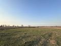 Участок · 25 соток, Центральная — Школы за 2.8 млн ₸ в Алмалы