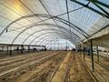 Действующий бизнес - тепличный комплекс. · 15000 м² за 45 млн ₸ в Атырау — фото 6