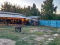 Отдельный дом · 4 комнаты · 250 м² · 15 сот., Б.Момышұлы 6 — Қонаев мектеп за 16 млн ₸ в Бауыржан Момышулы — фото 7