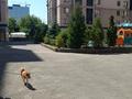 2-комнатная квартира · 71 м² · 9/10 этаж, Казыбек би 43/9 за 80 млн ₸ в Алматы, Медеуский р-н — фото 14