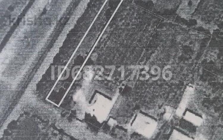 Участок · 9 соток, Жетысай ауд, Ш.Ділдәбеков а.о. Бірлік за 9 млн ₸ — фото 2