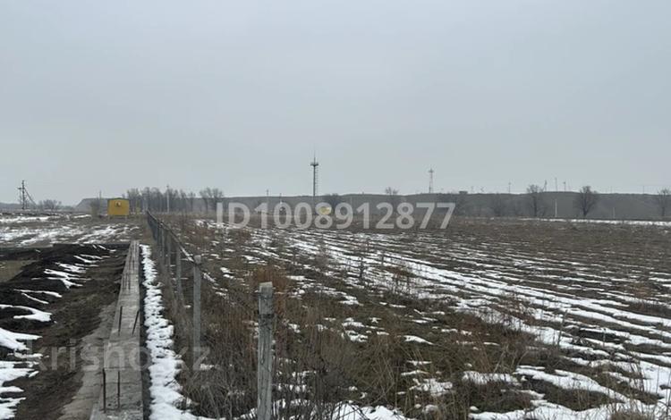 Отдельный дом · 5 комнат · 200 м² · 150 сот., АКХ КазМис 290 за 320 000 〒 в Коксай (пути Ильича) — фото 2