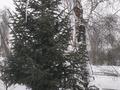 Жеке үй · 4 бөлме · 64 м² · 22.5 жүзд., Пограничная 30 — Арал-тобе, бағасы: 6 млн ₸ в  — фото 11
