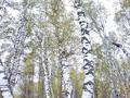Жеке үй · 4 бөлме · 64 м² · 22.5 жүзд., Пограничная 30 — Арал-тобе, бағасы: 6 млн ₸ в  — фото 12