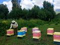 Жеке үй · 4 бөлме · 64 м² · 22.5 жүзд., Пограничная 30 — Арал-тобе, бағасы: 6 млн ₸ в  — фото 13