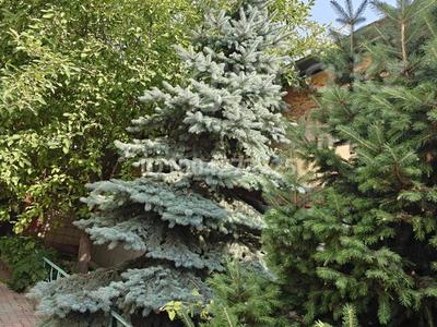 Жеке үй · 5 бөлме · 178 м² · 7.33 жүзд., Бағанашыл ш/а., бағасы: 230 млн ₸ в Алматы, Бостандыкский р-н