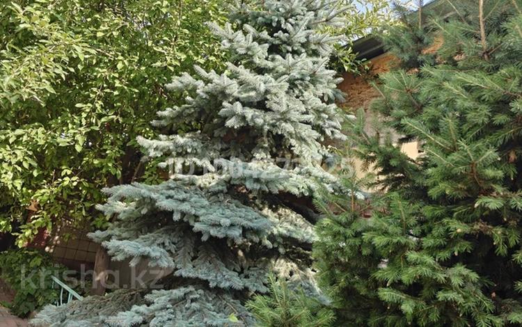 Отдельный дом · 5 комнат · 178 м² · 7.33 сот., мкр Баганашыл за 230 млн ₸ в Алматы, Бостандыкский р-н — фото 2