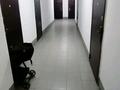 1-комнатная квартира · 31 м² · 7/10 этаж, Райымбека 483 — Саина за 160 000 ₸ в Алматы, Алатауский р-н — фото 13