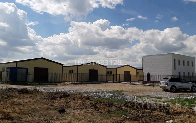 Курс доллара к тенге июль. Авторынок казахстана казахстанский автомобильный рынок. Казашка в офисе. Курс тенге к рублю. Карта казахстана для детей.