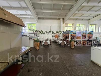 Дейстующий бизнес - столовая · 60 м², бағасы: 2.8 млн ₸ в Усть-Каменогорске, Ново-Явленка