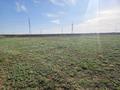 Участок · 1.08 га, Канал Нура за 125 млн ₸ в Косшы — фото 5