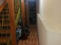 Офисы · 250 м² за 1 млн ₸ в Алматы, Медеуский р-н — фото 16