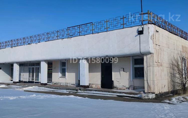 Еркін · 500 м², бағасы: 22 млн ₸ в Ерейментау — фото 8