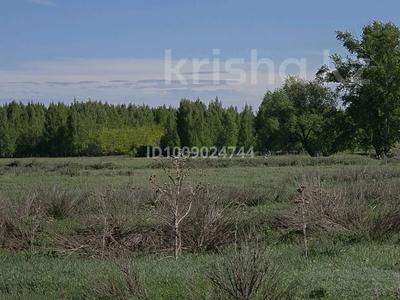 Участок · 20 соток, Аккайын за 30 млн ₸