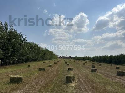 Участок · 76 соток, Карасу за 16 млн ₸