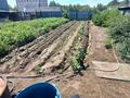 Отдельный дом · 5 комнат · 131 м² · 10.4 сот., Кунгей 16 за 19 млн ₸ в Семее — фото 19