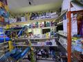 Магазины и бутики · 52 м² за 350 000 ₸ в Алматы, Наурызбайский р-н — фото 4