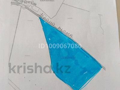 Жер телімі · 500 га, Айғаным, бағасы: 200 млн ₸ в Айганыме