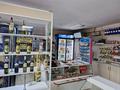 Дүкендер мен бутиктер · 100 м², бағасы: 350 000 ₸ в Павлодаре — фото 7