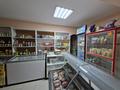 Дүкендер мен бутиктер · 100 м², бағасы: 350 000 ₸ в Павлодаре