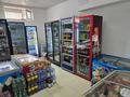Готовый бизнес продуктовый магазин · 167 м² за 53 млн ₸ в Актау, 32В мкр — фото 12