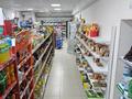 Готовый бизнес продуктовый магазин · 167 м² за 53 млн ₸ в Актау, 32В мкр — фото 13