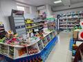 Готовый бизнес продуктовый магазин · 167 м² за 53 млн ₸ в Актау, 32В мкр — фото 15