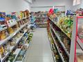 Готовый бизнес продуктовый магазин · 167 м² за 53 млн ₸ в Актау, 32В мкр — фото 17