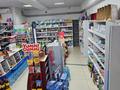 Готовый бизнес продуктовый магазин · 167 м² за 53 млн ₸ в Актау, 32В мкр — фото 18