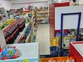 Готовый бизнес продуктовый магазин · 167 м² за 53 млн ₸ в Актау, 32В мкр — фото 22
