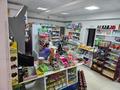 Готовый бизнес продуктовый магазин · 167 м² за 53 млн ₸ в Актау, 32В мкр — фото 23