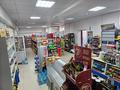 Готовый бизнес продуктовый магазин · 167 м² за 53 млн ₸ в Актау, 32В мкр — фото 3