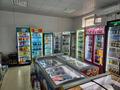 Готовый бизнес продуктовый магазин · 167 м² за 53 млн ₸ в Актау, 32В мкр — фото 8